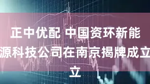 正中优配 中国资环新能源科技公司在南京揭牌成立
