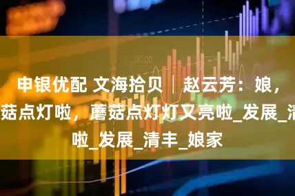 申银优配 文海拾贝│赵云芳：娘，我去看蘑菇点灯啦，蘑菇点灯灯又亮啦_发展_清丰_娘家