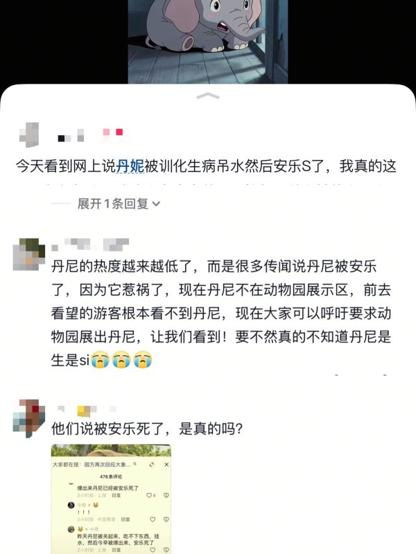 永旺配资端 上海野生动物园被“霸凌”大象被曝安乐死？园方最新回应：系谣言_大皖新闻 | 安徽网